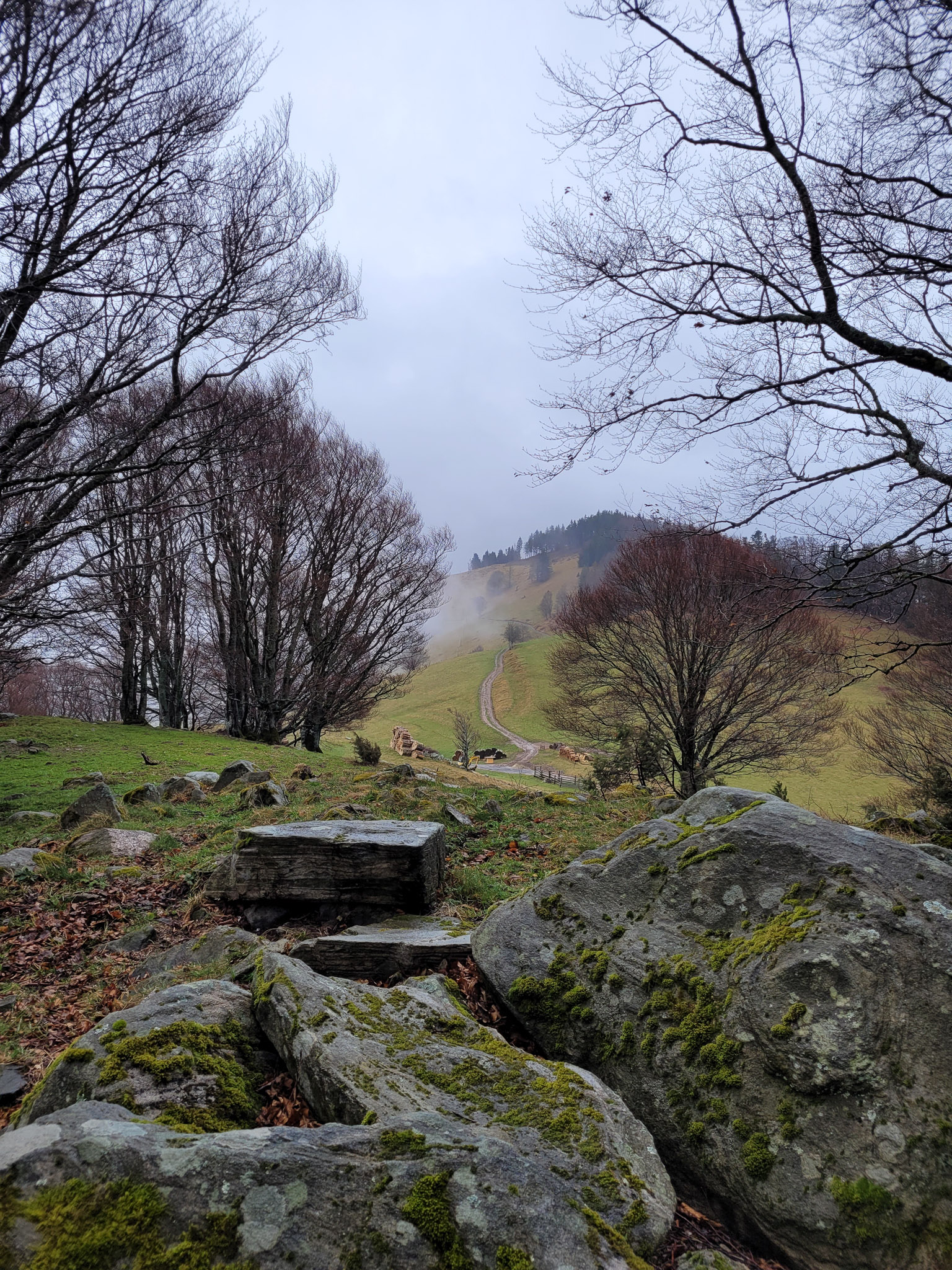 20230401150553 150553